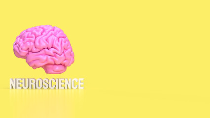 The Human brain for sci or medical concept 3d rendering.