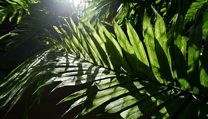 leaves in the morning sun summer yellow background with tropical leaf shadow and bright sunlight. Minimal showcase scene with cobblestones and silver ring for organic cosmetic product presentati