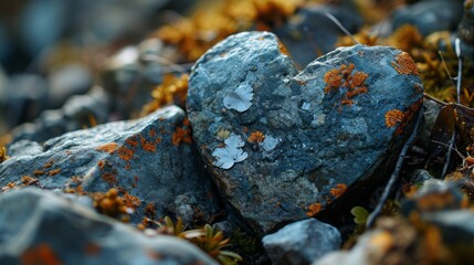 Fototapeta premium Nature's Heartbeat: Discovering Love in the Wild