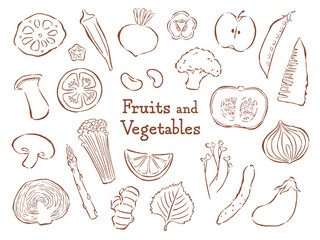 simple line illustration of vegetables