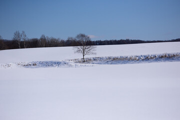 北海道の冬の雪景色