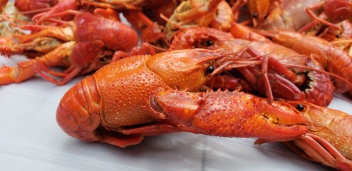 lobster on a wooden board