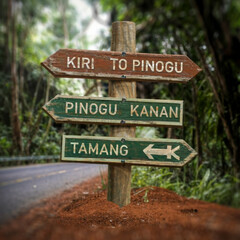signpost in the forest,sign, direction, road sign, arrow, street, road, business, 