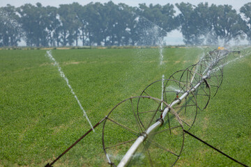 An irrigation system with steel wheels spraying water on a green farm field on a hot Summer day....