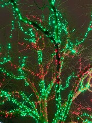 morton arboretum illumination