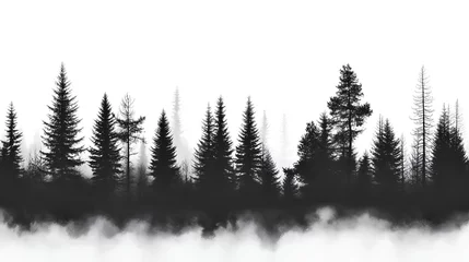 Zelfklevend Fotobehang winter forest background. Pine forest landscape. Forest pine park. Fog and haze forest landscape. silhouette of trees in sunset  © CHAIYAPHON