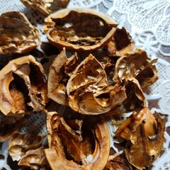 dried walnuts shells