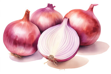 Watercolor art print of Red onion white background