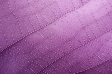 leaf background, leaf surface, leaf texture, leaf material, sleaf floor