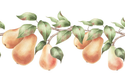 Watercolor branch of pear tree. Seamless border with watercolor brach with pears.
