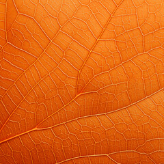 leaf background, leaf surface, leaf texture, leaf material, sleaf floor