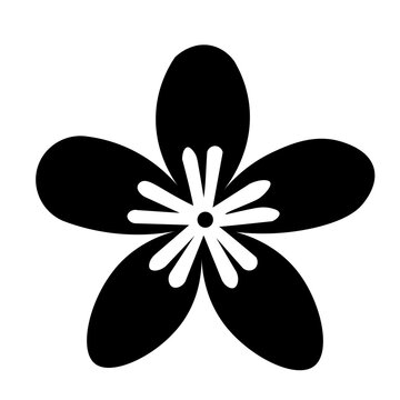 Icon Flower Set With White Background