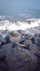 The shore at the golden gate strait. 