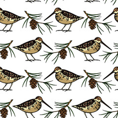 Vector seamless pattern with hand drawn cute snipes in pine twigs. Beautiful animal design elements, ink drawing. Perfect for prints and patterns