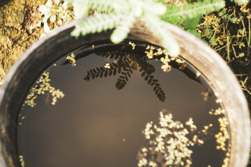 Midsection of male owner pouring tea in cup at coffee shop,High angle view of buildings in city against clear sky,Illuminated buildings against sky at night with moon