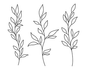 Set of Black Sketch Silhouettes of Branches and Leaves on White Background. Minimal Line Art Hand Drawn Vector Botanical Elements Collection.