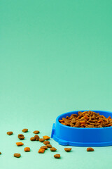 Dry pet food in bowl on color background