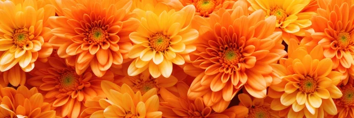 Fotobehang orange flower background © Natalia