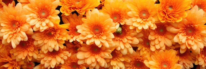 bouquet of orange chrysanthemums closeup - obrazy, fototapety, plakaty