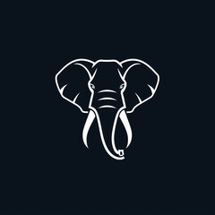 Fototapeta premium Close-up Photo of an Elephants Head on a Black Background
