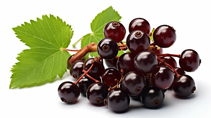 currant on a white background high definition(hd) photographic creative image