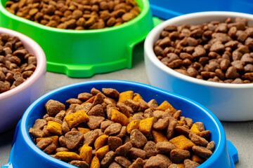 Plastic pet bowl with food on gray background