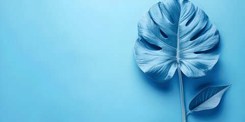 blue colored tropical leaf on isolated blue back, copy space, banner, generative ai