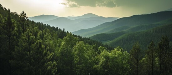 Stunning stock photo of a mountain forest landscape with a striking sky - obrazy, fototapety, plakaty