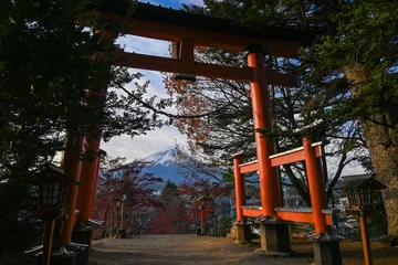 Foto auf Acrylglas Torii gate Fuji © Terq