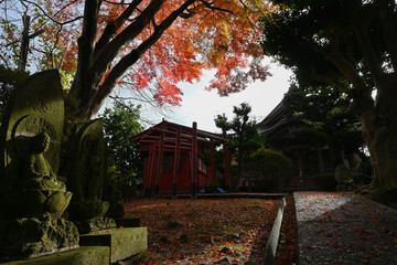 Kanazawa old town, temple autumn