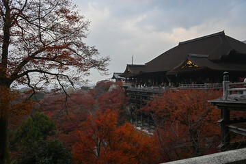 Kyoto Kiyomizudera temple autumn scenery