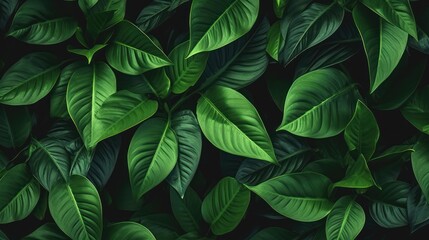 Seamless pattern of luxurious dark green leaves. Green background or wallpaper