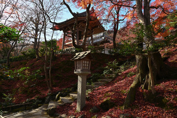 Jojakko-ji temple kyoto, autumn