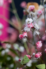 A combined bouquet of different types of flowers in close-up