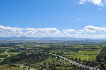 Aerial view of vineyards in La Rioja, spain