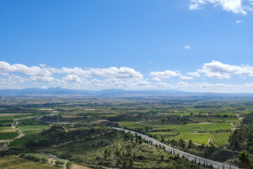 Naklejka premium Aerial view of vineyards in La Rioja, spain