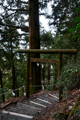 玉置神社 © 卓志 海住