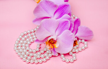 Obraz na płótnie Canvas Pearl necklace and Purple orchid on pink background
