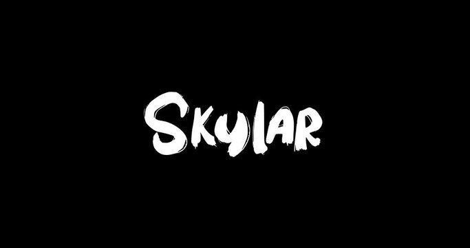 Skylar Female Name in Digital Grunge Transition Effect of Bold Text Typography Animation on Black Background 