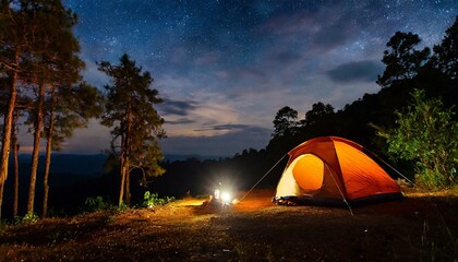 Starlit Retreat: Discovering the Magic of Forest Camping After Dark"