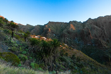 Fototapeta na wymiar Lush Green Hillside Covered in Trees - Masca Valley, Tenerife