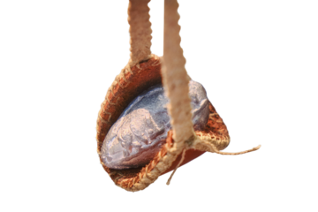 Roman slingshot of leather, isolated on a white background. Vintage weapons for throwing stones and lead, isolated on a white background. Retro outfit soldiers in ancient Rome, close-up.