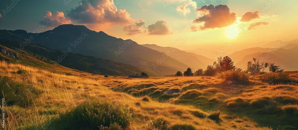 Poster mountain field during sunset beautiful natural landscape. copy space image. place for adding text or