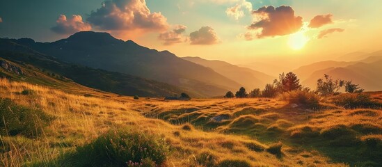 Mountain field during sunset Beautiful natural landscape. Copy space image. Place for adding text or design - obrazy, fototapety, plakaty
