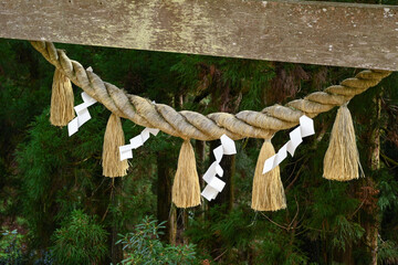 玉置神社 © 卓志 海住