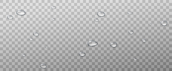 Realistic vector water drops png on a transparent light background. Water condensation on the surface with light reflection and realistic shadow. 3d vector illustration