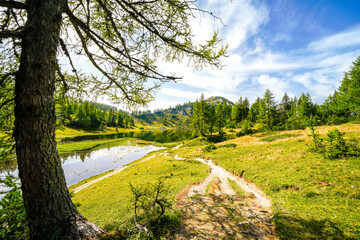 Nature on the high plateau of the Tauplitzalm. View of the landscape at the Toten Gebirge in Styria. Idyllic surroundings with mountains and green nature on the Tauplitz in Austria.
