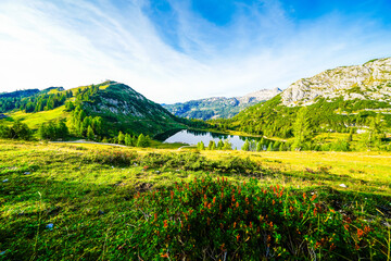 Nature on the high plateau of the Tauplitzalm. View of the landscape at the Toten Gebirge in Styria. Idyllic surroundings with mountains and green nature on the Tauplitz in Austria.
