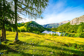 Fototapeta na wymiar Nature on the high plateau of the Tauplitzalm. View of the landscape at the Toten Gebirge in Styria. Idyllic surroundings with mountains and green nature on the Tauplitz in Austria. 