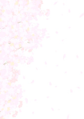 Fototapeta na wymiar ふわふわした桜